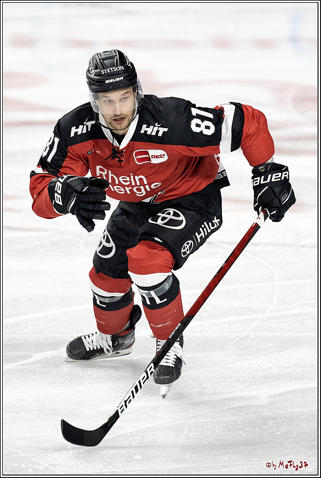 PENNY DEL;  Koelner Haie - Straubing Tigers; Koeln, 15.10.2021